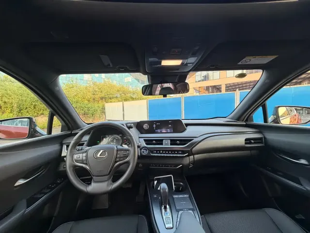 Lexus Lexus UX Electric 2020 300e Pure Yue Edition — Фото автомобиля 6