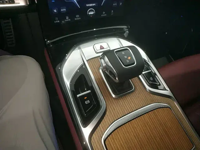 Hongqi E-HS9 — Фото автомобиля 13