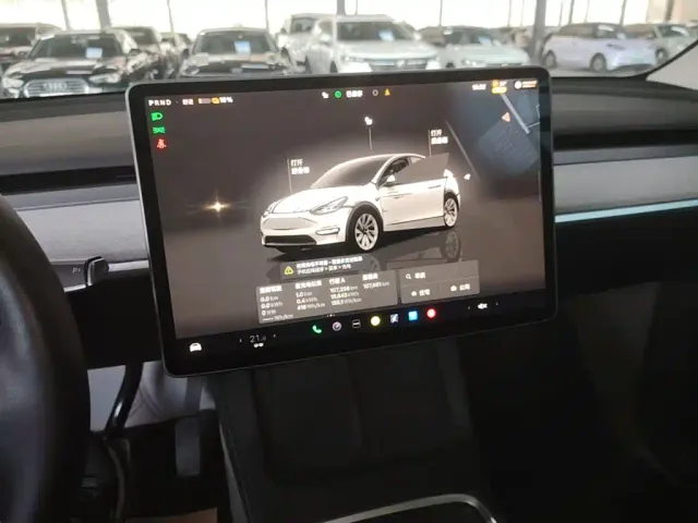 Tesla Model Y — Фото автомобиля 12