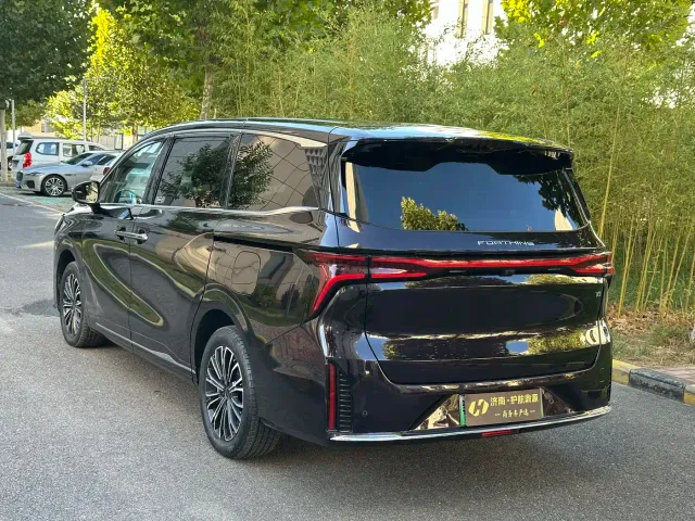 Forthing Xinghai V9 — Фото автомобиля 6