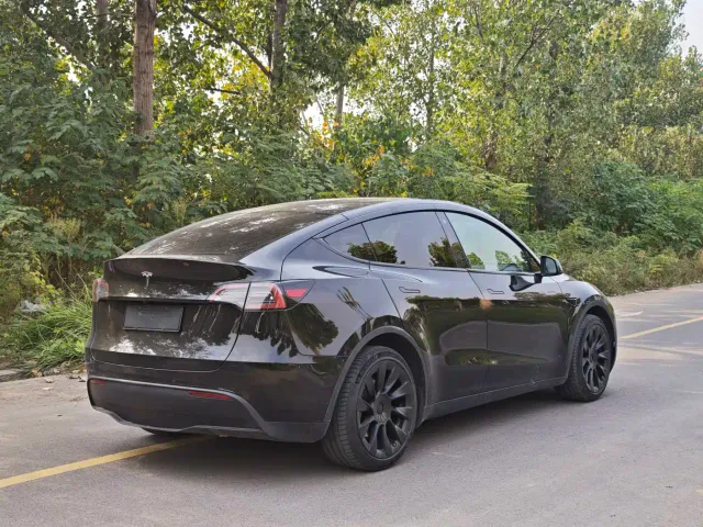 Tesla Model Y — Фото автомобиля 18