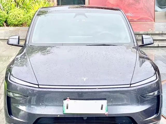 Tesla Model Y — Фото автомобиля 2