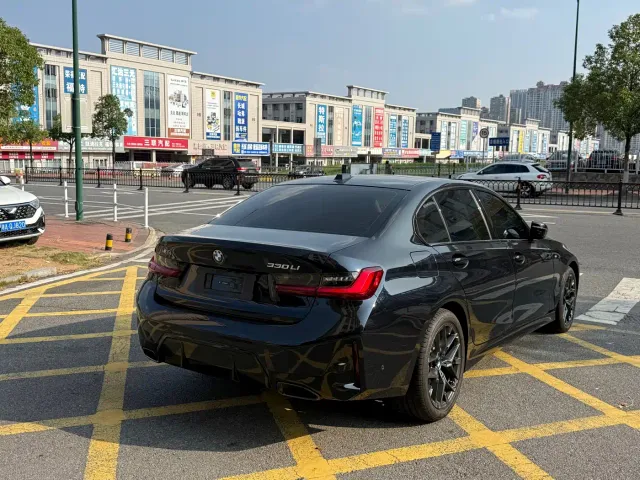 BMW 3 Series — Фото автомобиля 15