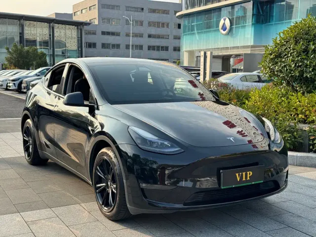 Tesla Model Y — Фото автомобиля 3