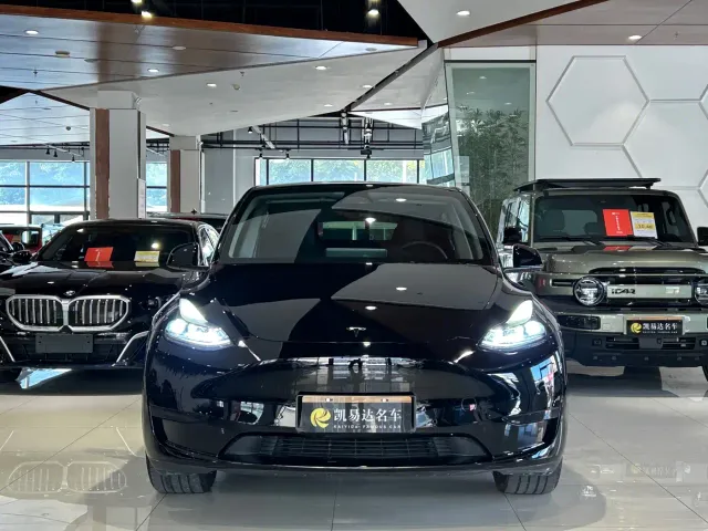 Tesla Model Y — Фото автомобиля 3