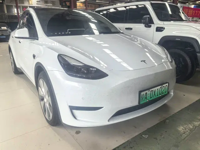 Tesla Model Y — Фото автомобиля 3