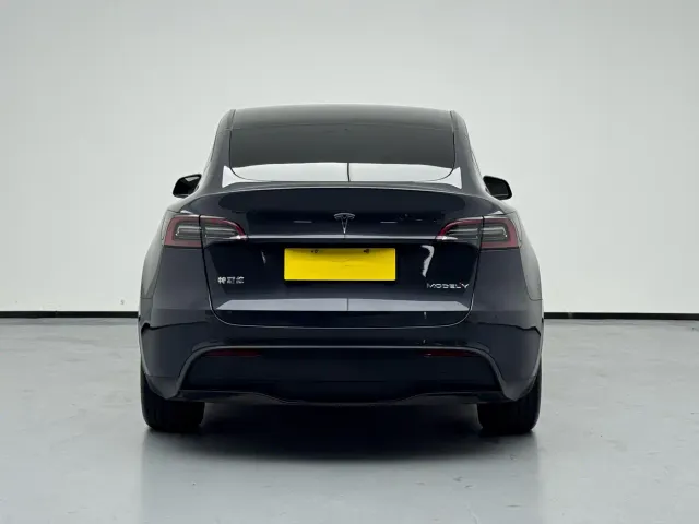 Tesla Model Y — Фото автомобиля 5