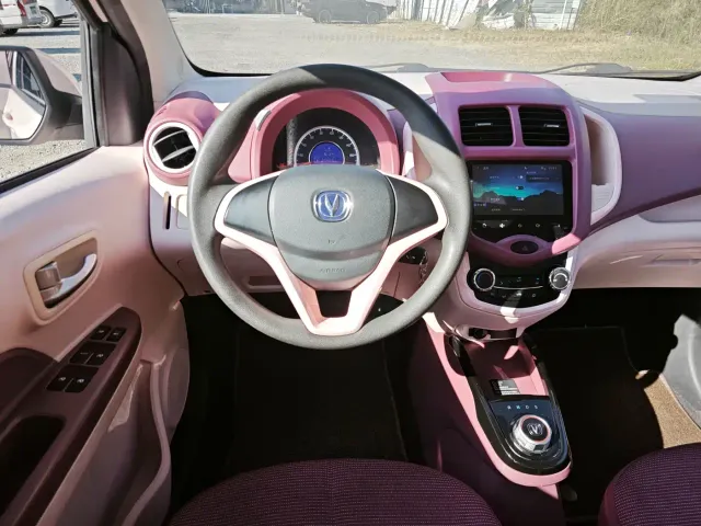 Changan Benben E-Star — Фото автомобиля 9