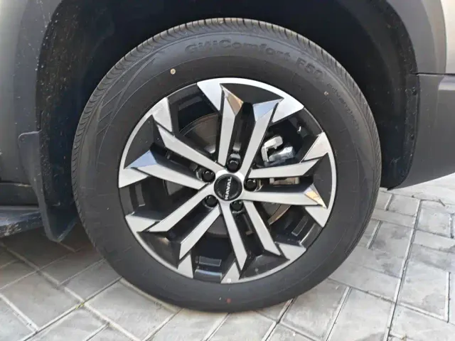 Haval Big Dog — Фото автомобиля 8