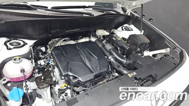 Hyundai Palisade Palisade (LX3) Бензин 2.5T 2WD 9 мест — Фото автомобиля 6