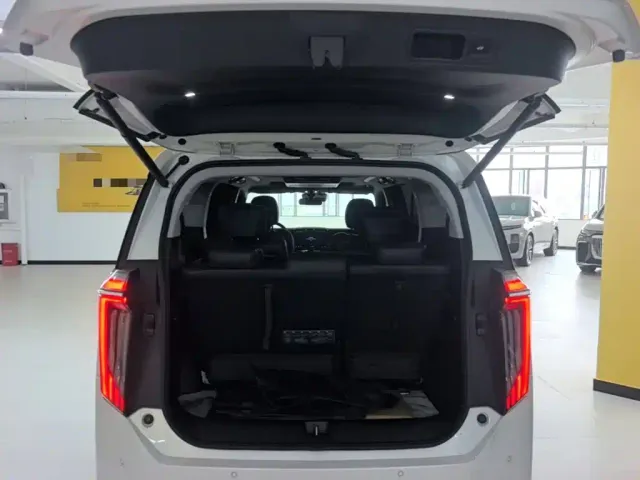 GAC Trumpchi M8 — Фото автомобиля 18