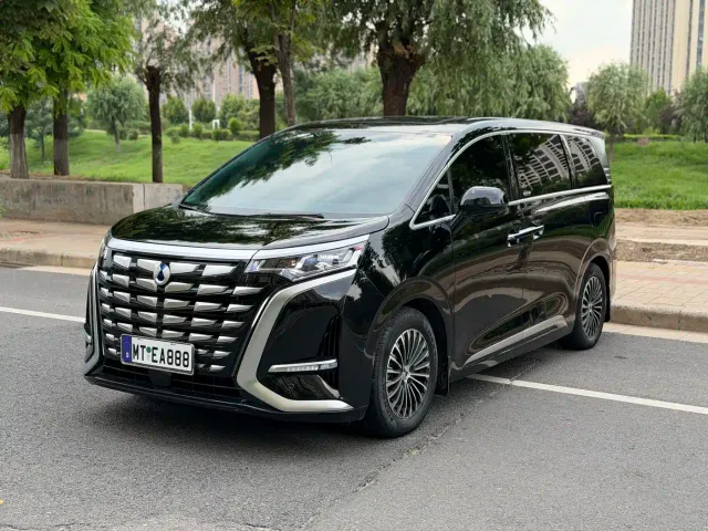 Фотография автомобиля — Denza D9
