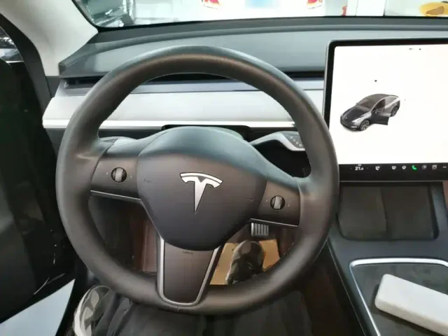 Tesla Model Y — Фото автомобиля 10