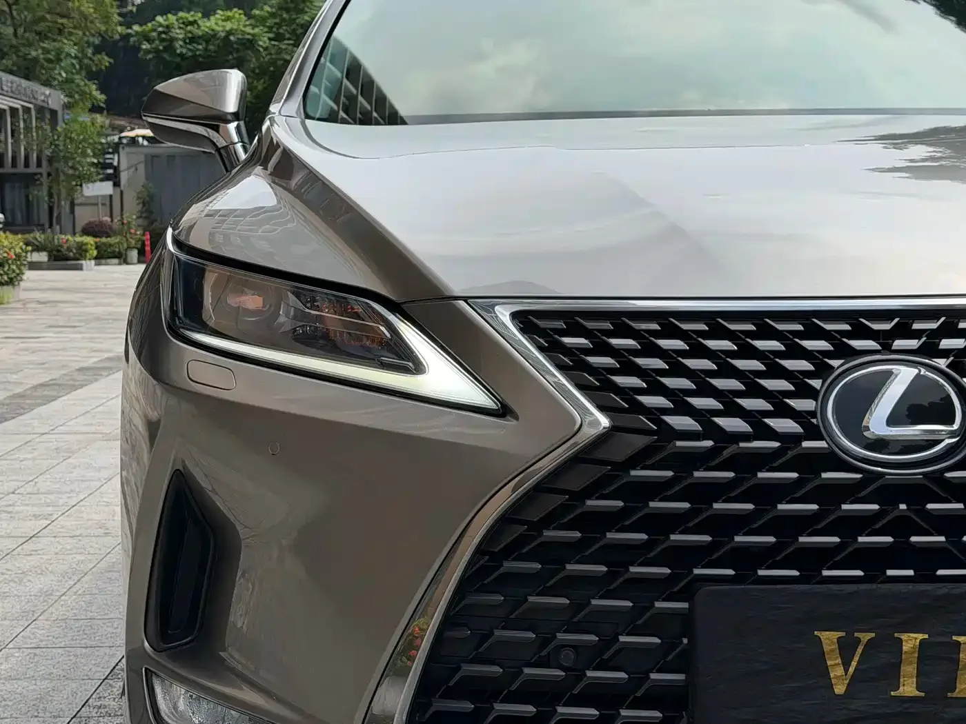 Lexus Lexus RX 2020 300 2WD Elite Edition China VI — Фото автомобиля 5