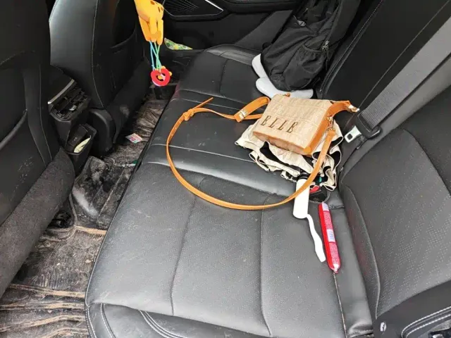 Geely Emgrand — Фото автомобиля 13
