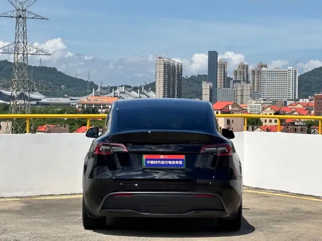 Tesla Model Y — Фото автомобиля 11