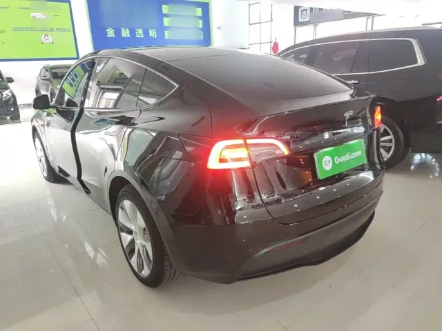 Tesla Model Y — Фото автомобиля 22