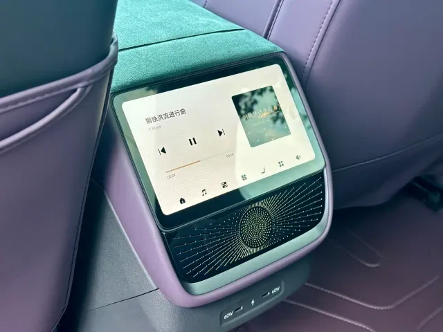 Xpeng P7 — Фото автомобиля 11
