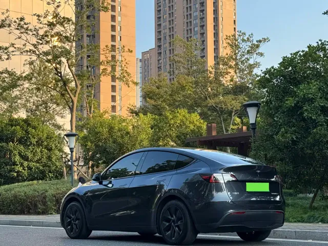 Tesla Model Y — Фото автомобиля 10