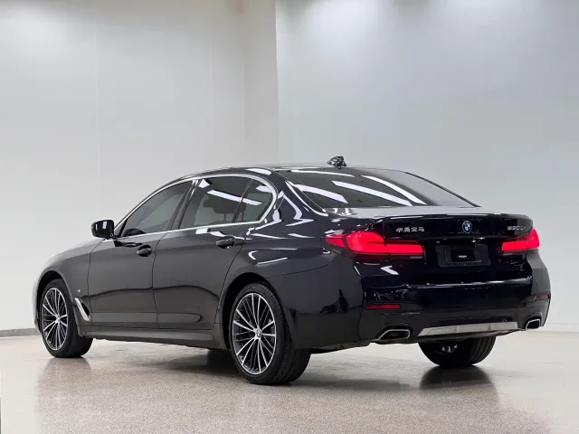BMW 5 Series — Фото автомобиля 28