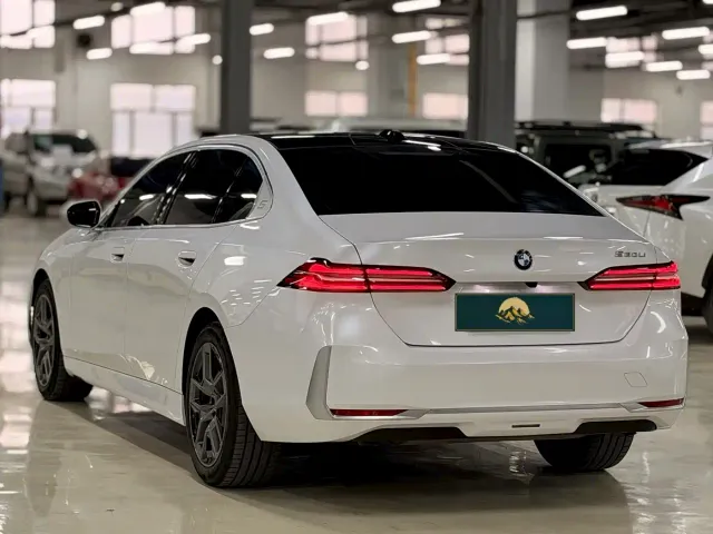 BMW 5 Series — Фото автомобиля 4