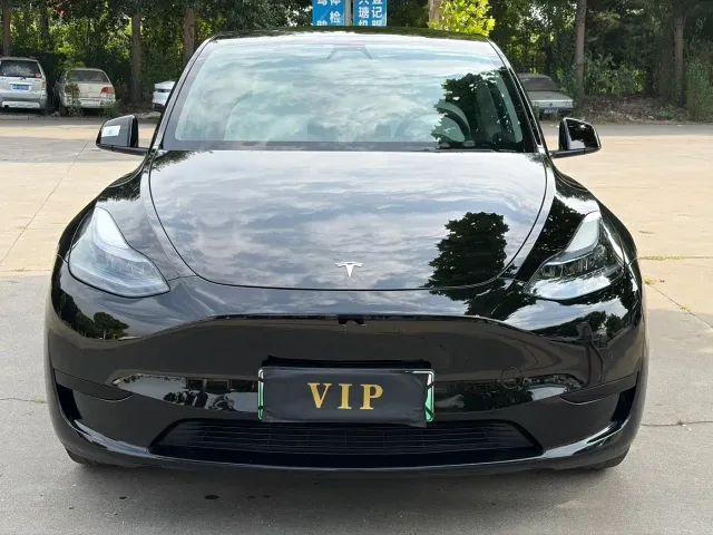 Tesla Model Y — Фото автомобиля 2