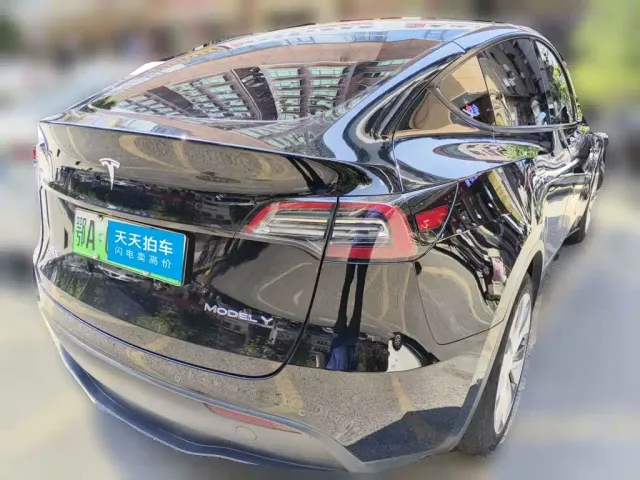 Tesla Model Y — Фото автомобиля 2