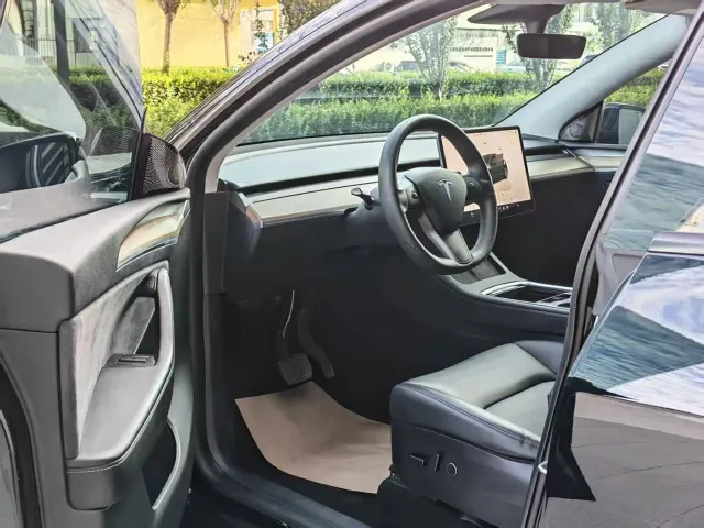 Tesla Model Y — Фото автомобиля 4