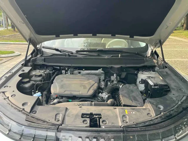 Haval Xiaolong MAX — Фото автомобиля 13