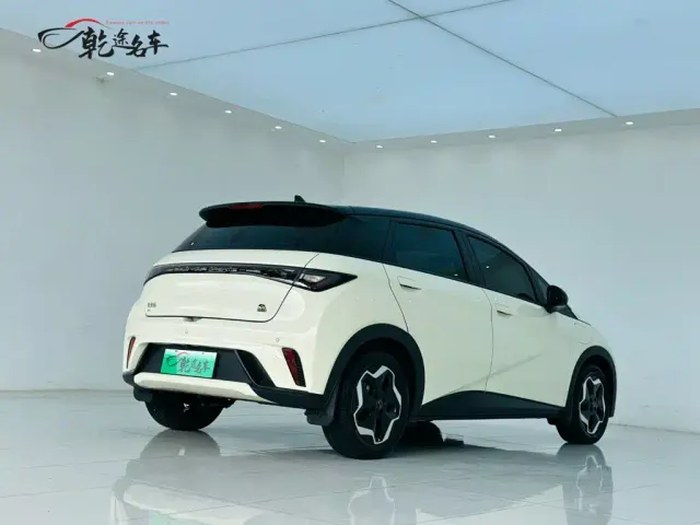 BYD Dolphin — Фото автомобиля 7