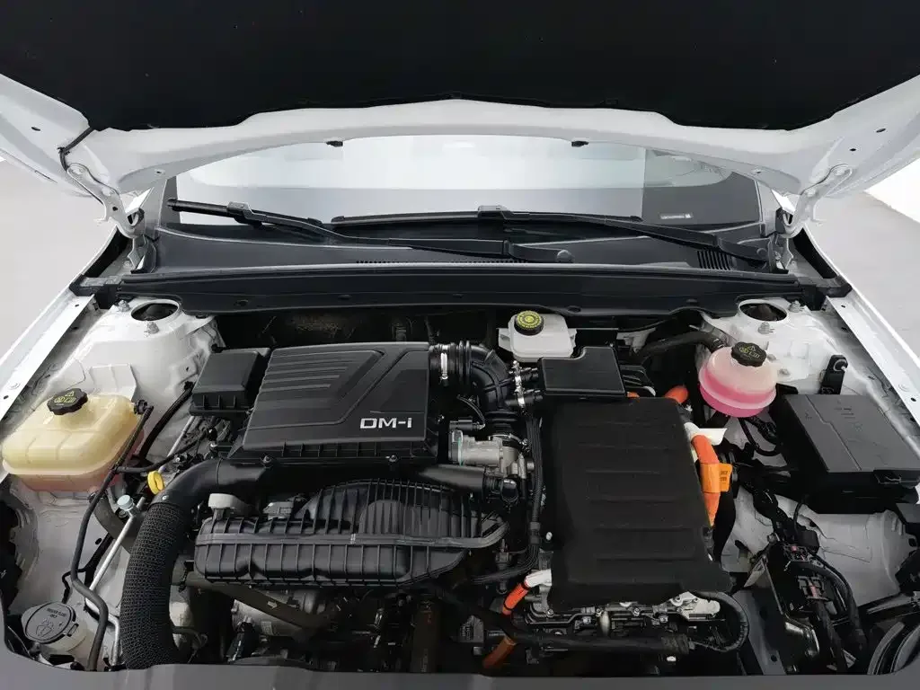 BYD Qin PLUS 2023 Champion Edition DM-i 55KM Leading — Фото автомобиля 6