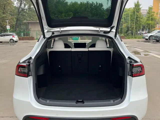 Tesla Model Y — Фото автомобиля 15