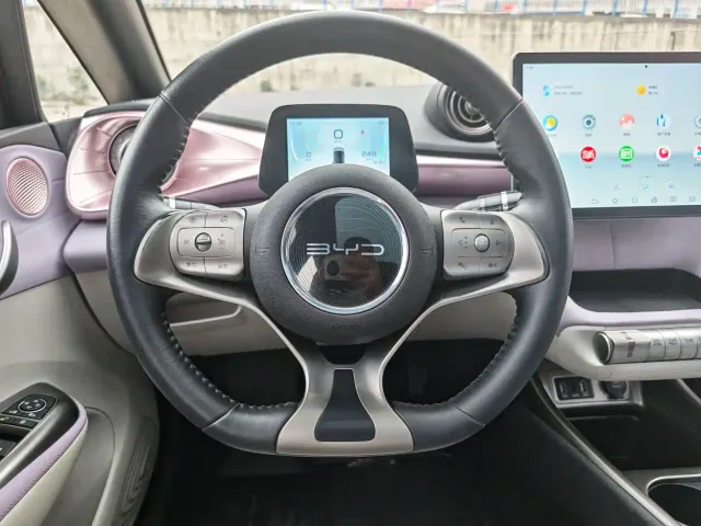BYD Dolphin — Фото автомобиля 14