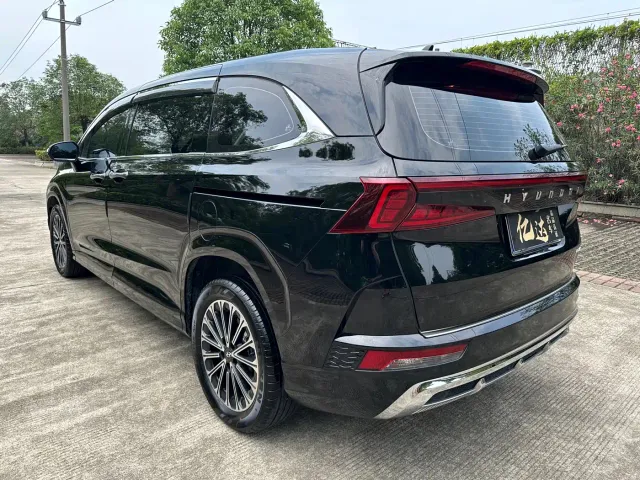 Hyundai Custo — Фото автомобиля 18