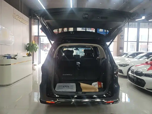 Honda Elysion — Фото автомобиля 18