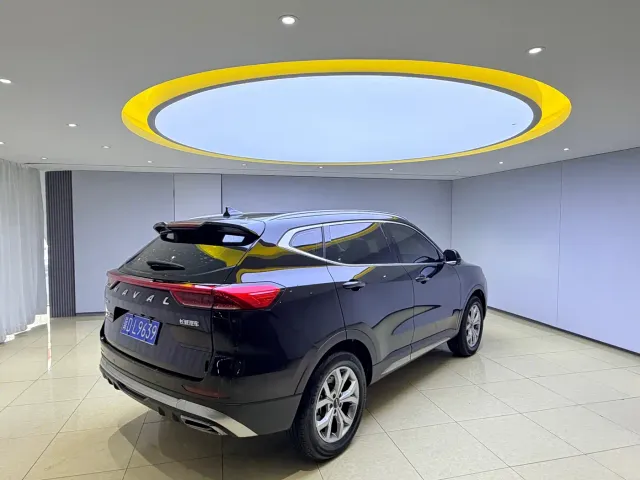 Haval H6 — Фото автомобиля 6