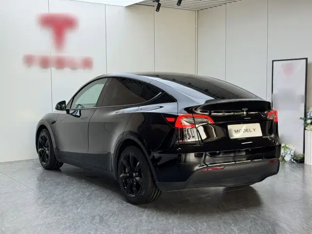 Tesla Model Y — Фото автомобиля 4
