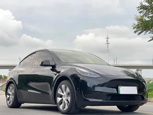 Tesla Model Y — Фото автомобиля 3