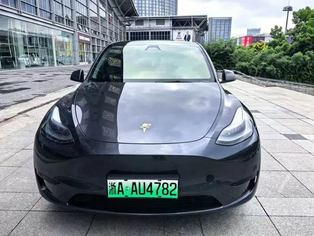 Tesla Model Y — Фото автомобиля 2