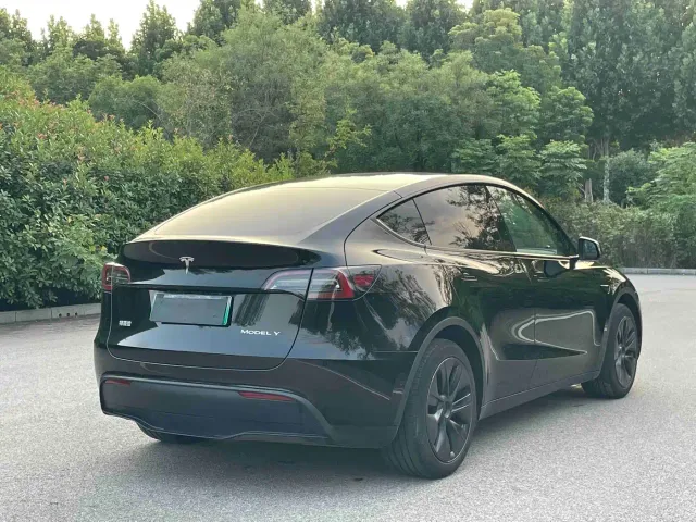 Tesla Model Y — Фото автомобиля 4