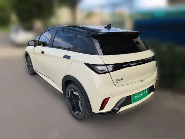 BYD Dolphin — Фото автомобиля 23