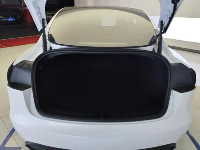 Tesla Model 3 — Фото автомобиля 4
