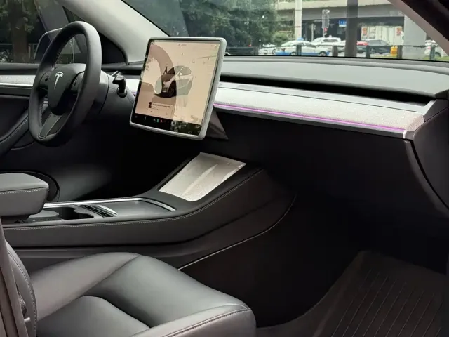 Tesla Model Y 2024 Rear-Wheel Drive Version — Фото автомобиля 9