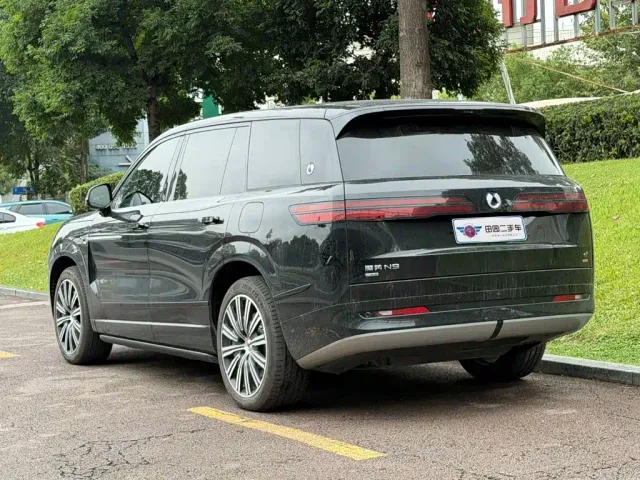 Denza N9 — Фото автомобиля 4