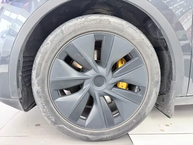 Tesla Model Y — Фото автомобиля 14