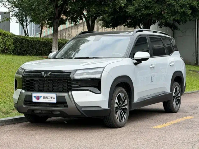 Фотография автомобиля — Wuling Starlight 560