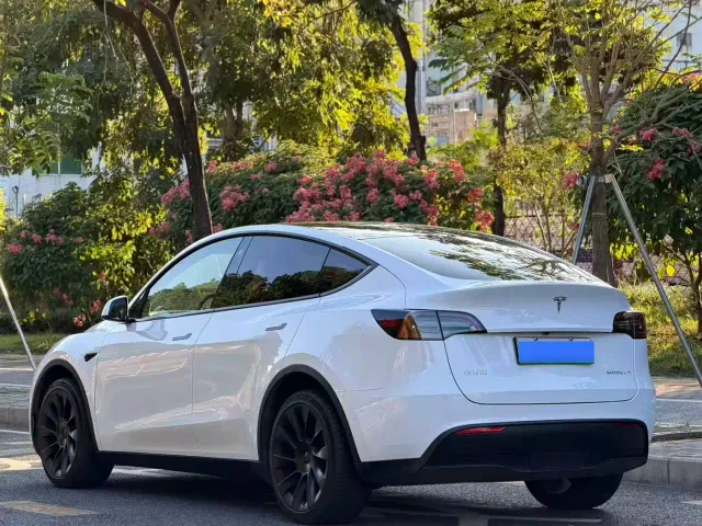 Tesla Model Y — Фото автомобиля 4