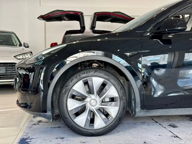 Tesla Model Y — Фото автомобиля 10