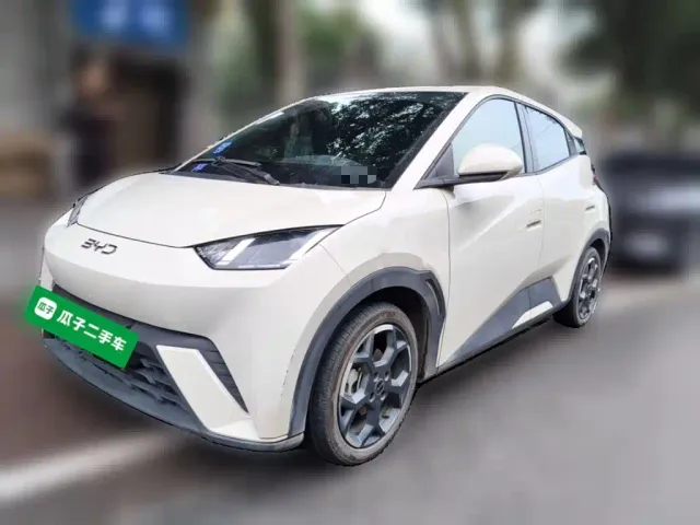 Фотография автомобиля — BYD Seagull