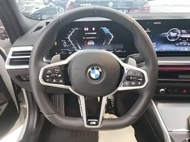 BMW 3 Series — Фото автомобиля 10
